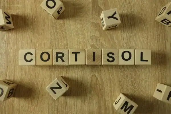 The Hidden Connection: How Stress Shapes Your Fitness and Body Composition 2 Image saying "Cortisol" and how stress Leighton Buzzard impacts your wellbeing and bodies shape